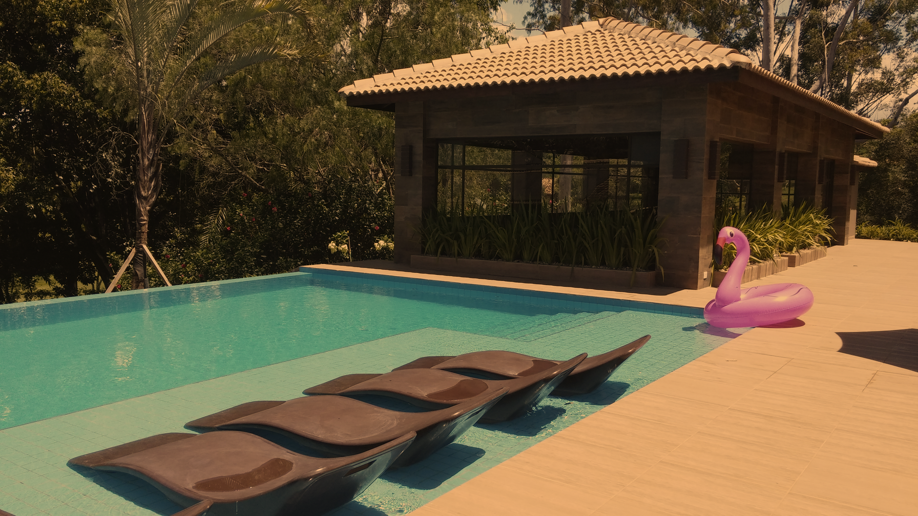 Piscina ao Entardecer